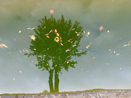 &nbsp; / [img]https://pp.userapi.com/c636122/v636122766/2aaf9/qjy6S2qGUEg.jpg[/img]

[img]https://pp.userapi.com/c636122/v636122766/2ab26/lhUgr4Uce8w.jpg[/img]

[img]https://pp.userapi.com/c636122/v636122766/2ab02/uqzgaYVgiXM.jpg[/img]