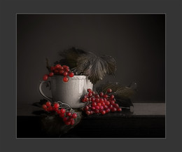 viburnum / Digital art