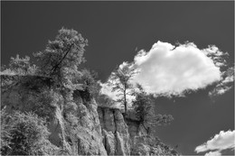 clinging to life / ***