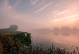 autumn morning / ***