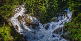 In the mountains of the Caucasus / ***