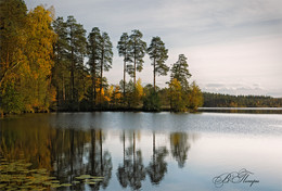 colors of autumn / ***