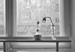 Silent conversation / ***