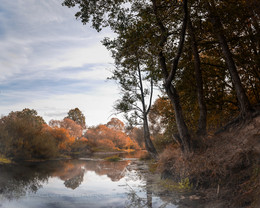 Autumn etude / ***
