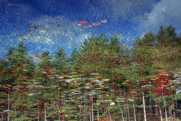 Autumn / ***