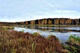 Autumn / ***