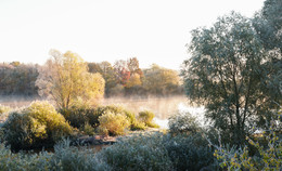 frosty morning / ***