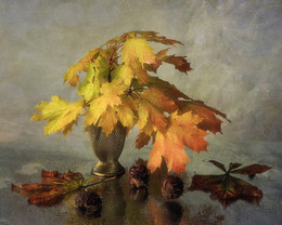 Autumn light / ***