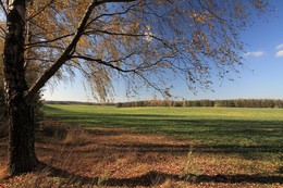 Herbstwind / ***