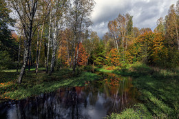 Autumn / ***