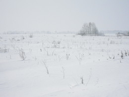 Schneesturm / ***