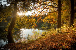 Autumn Sunset / ***
