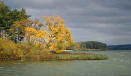Herbst Färbung / ***