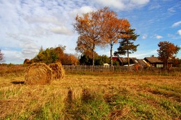 Herbst Färbung / ***