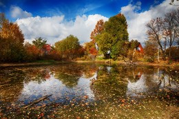 Autumn coloring / ***