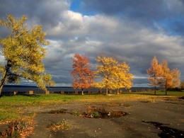 Autumn coloring / ***