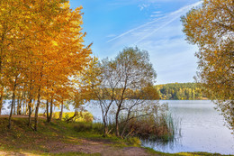 Autumn coloring / ***