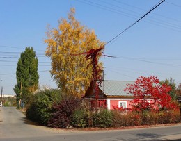 Herbst Färbung / ***