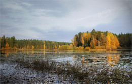 Autumn coloring / ***