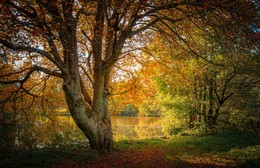 Autumn coloring / ***