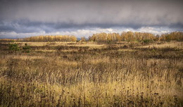 Schatten der Herbst- / ***