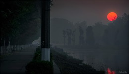 The tired sun / ***