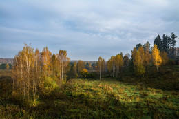 Autumn walk / ***