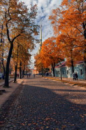 Autumn / ***