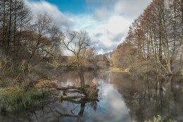 Reflexion der Herbst / ***