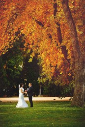 bride / ***