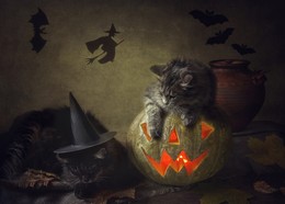 Halloween / ***