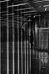 in the maze / ***
