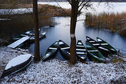 anticipation of winter / ***