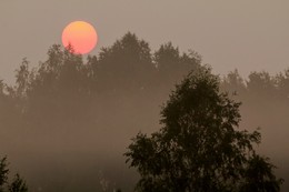 At dawn / ***