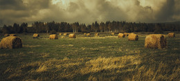 Autumn landscape. / ***