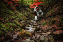  / Canon 5D EF17-40