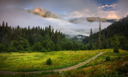 Nach dem Regen / ***