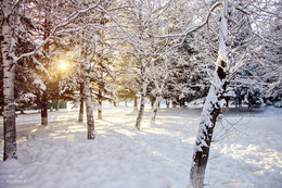 The morning of a new day / ***