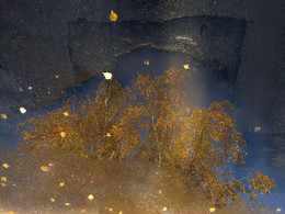 &nbsp; / [img]https://pp.userapi.com/c836132/v836132766/c963/TbgARS4GwJ4.jpg[/img]
[img]https://pp.userapi.com/c836132/v836132766/c951/ZWbeyQoGnjE.jpg[/img]
[img]https://pp.userapi.com/c836132/v836132766/c95a/py4qhgDIZws.jpg[/img]
