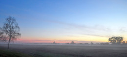 Rustic Morgen / ***