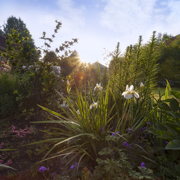 June morning / * * *