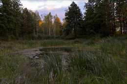 Alenushkino See / ***