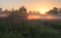 Morgengrauen am Stadtrand / ***