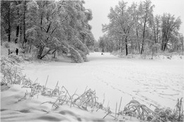 Serednikovo winter / ***