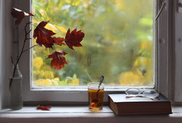Autumn / ***