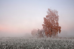 Dim Aussichten / ***