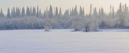 Frosty day / ***