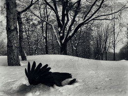 Winter Dreams / [img]https://pp.userapi.com/c836132/v836132766/ea4b/Y9mQv4MFt58.jpg[/img]