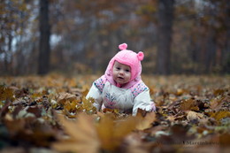 Autumn / ***