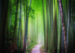  / sony nex7 Kagoshima Japan